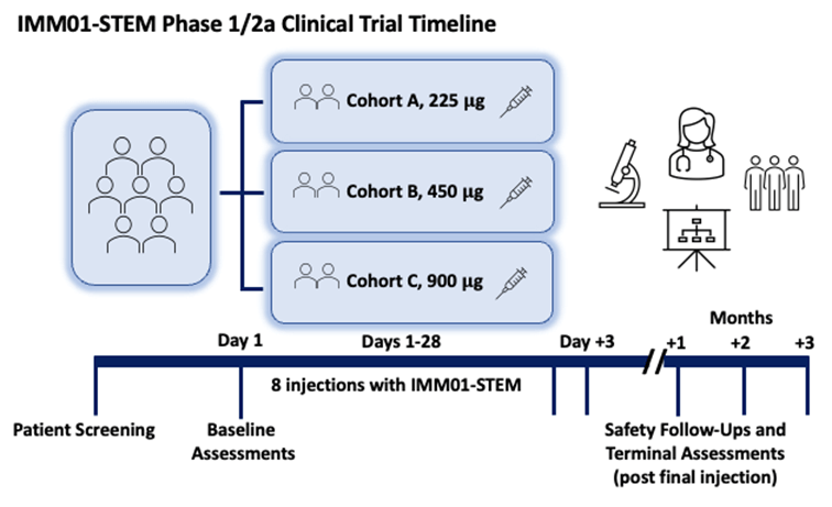 IMM01-STEM Phase 1-2a Timeline