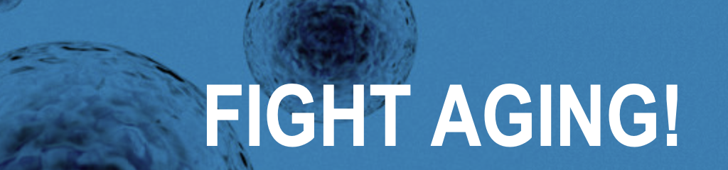 Screenshot 2026-02-03 at 11.48.22 AM